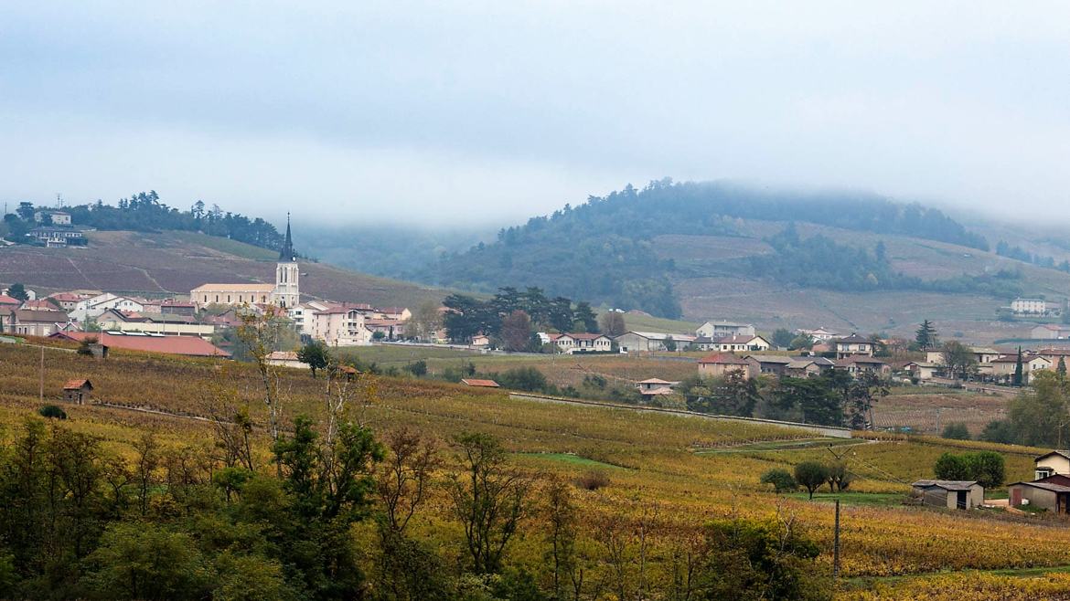 Fleurie en beaujolais