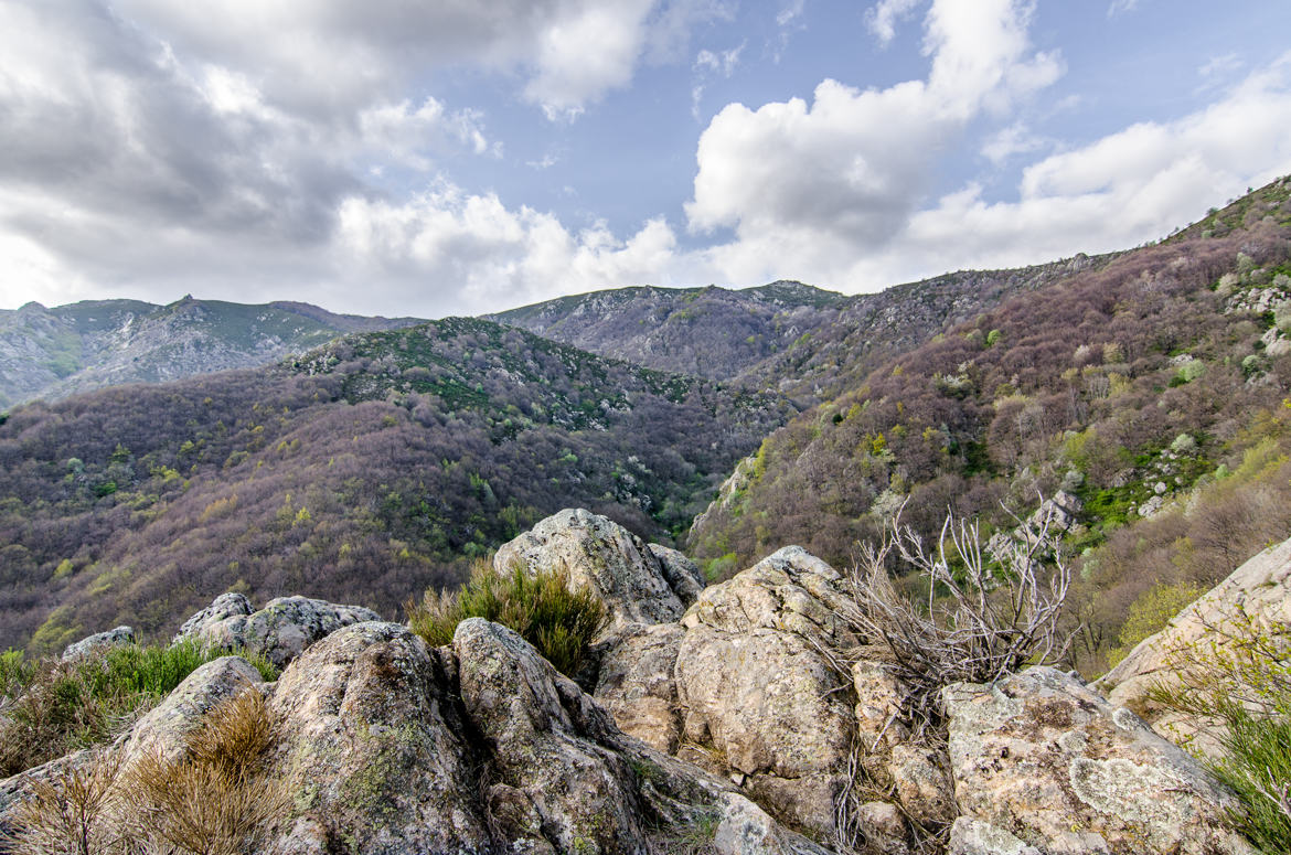 Massif du Tanargue