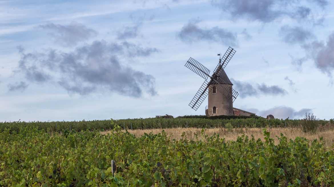 Cru Moulin à vent