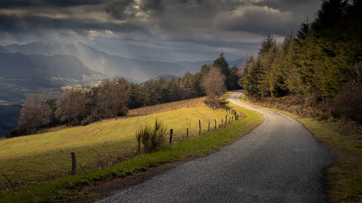 Route forestière entre deux averses