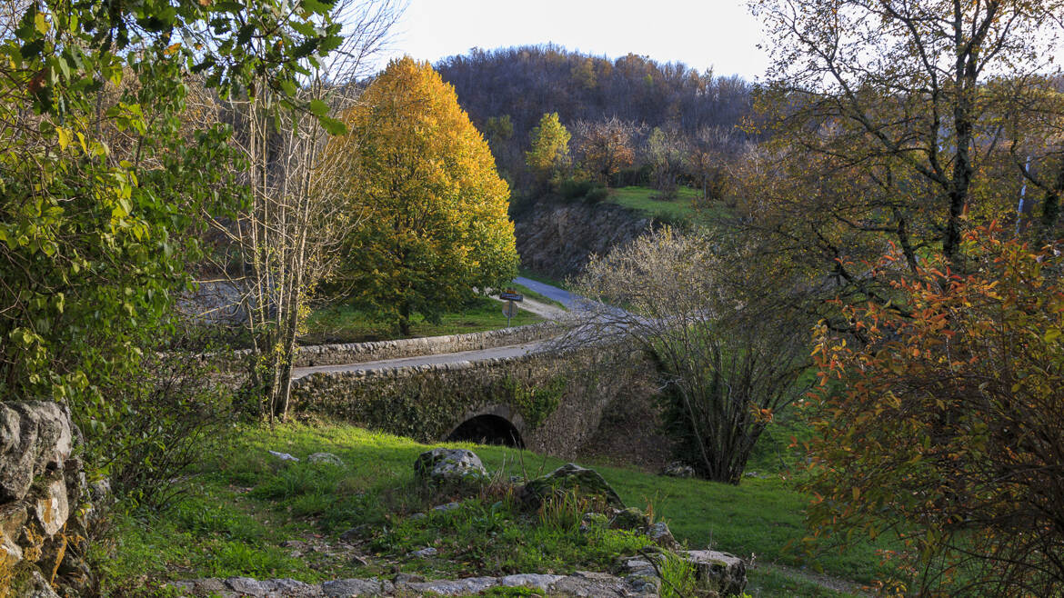 l'automne