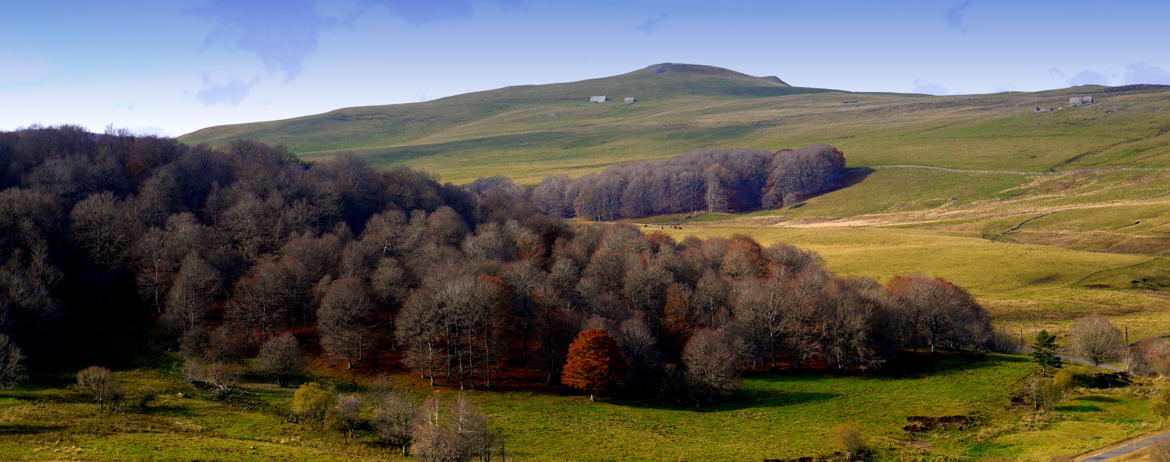 Quelque part sur l'Aubrac