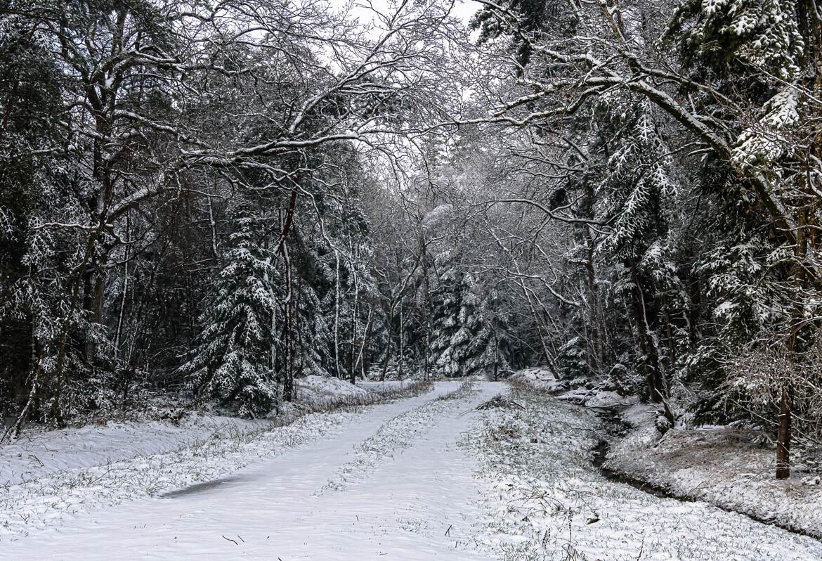 paysage de neige en Normandie