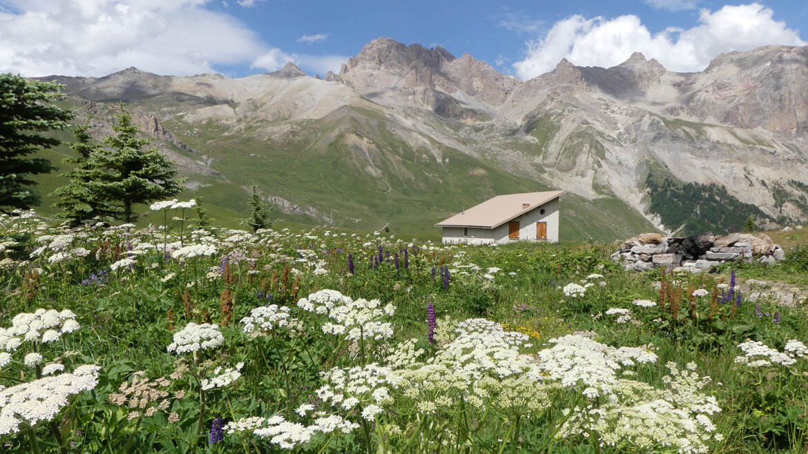 Col du Lautaret