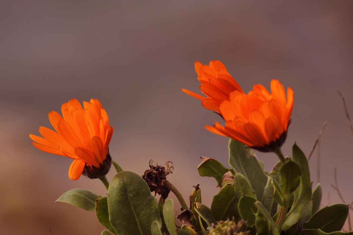 Jour de printemps