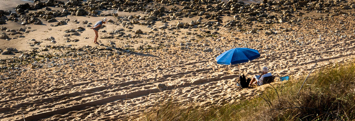 Chacun son activité sur la plage