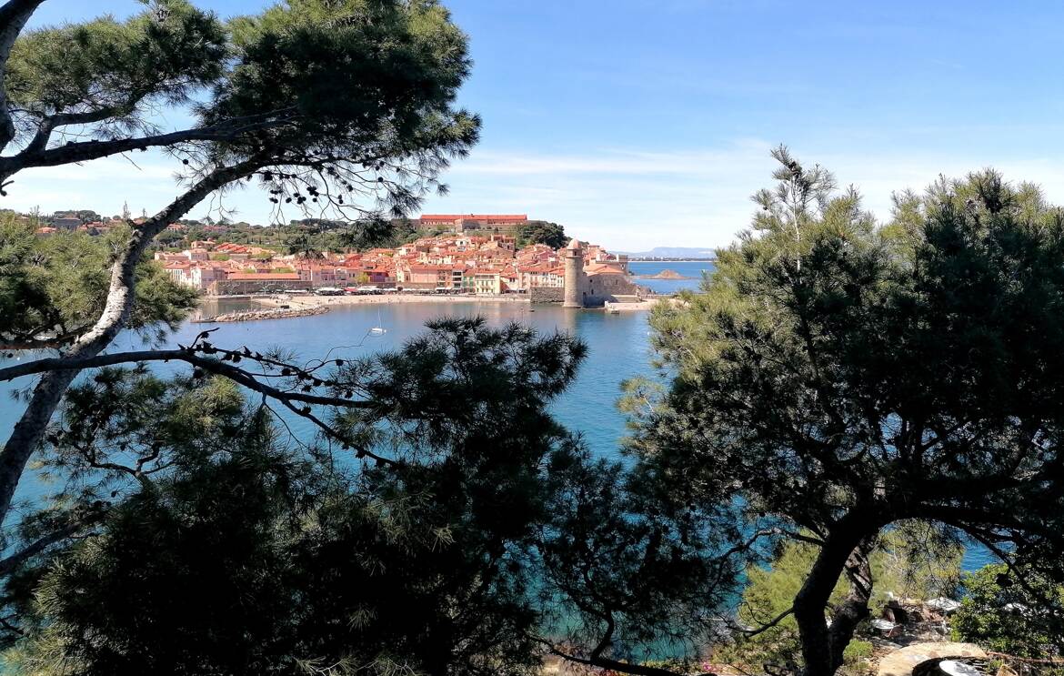 Fenêtre sur le clocher