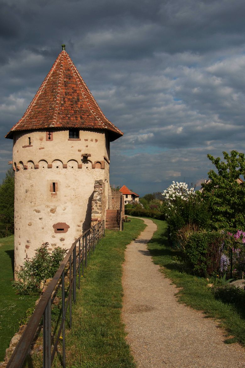 La tour des remparts de Bergheim