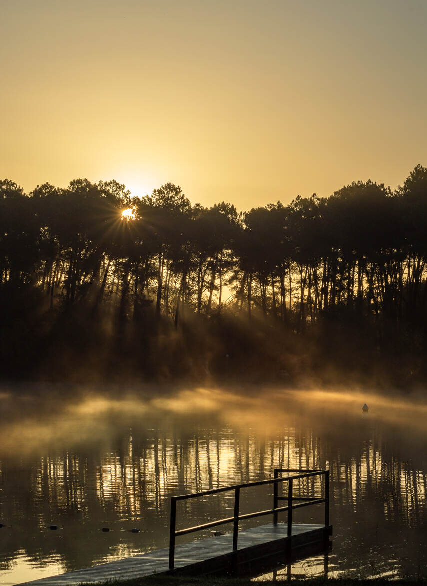 Brume matinale