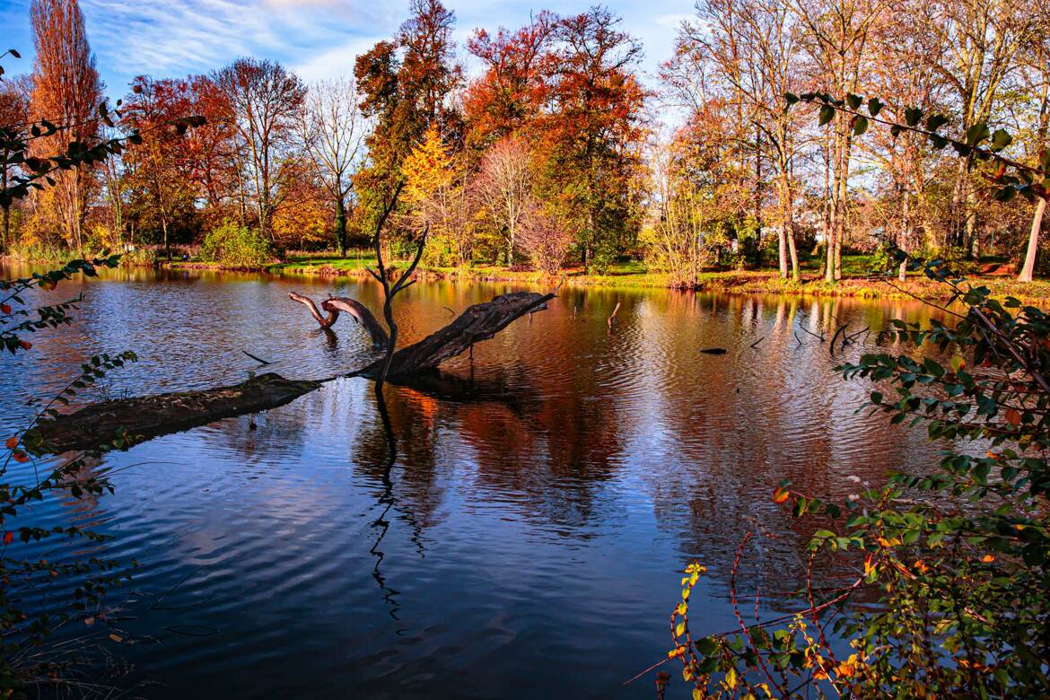 Un jour d'automne