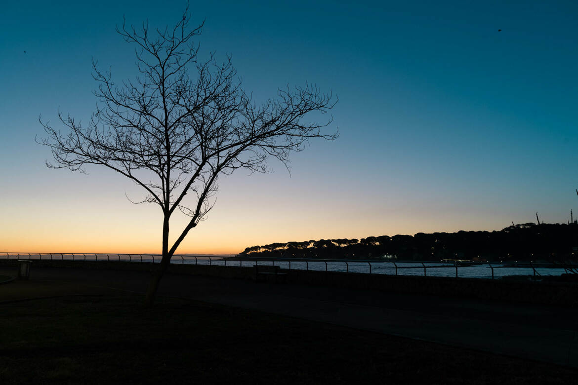 Nouveau jour en hiver