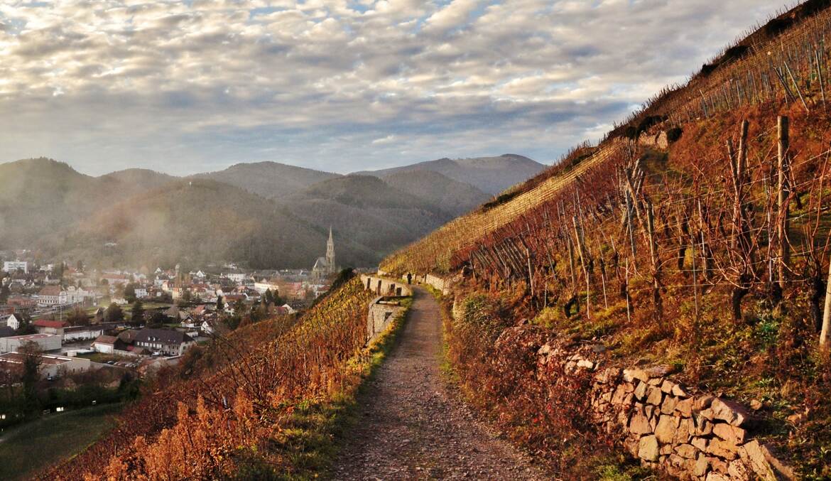 Le sentier au soleil
