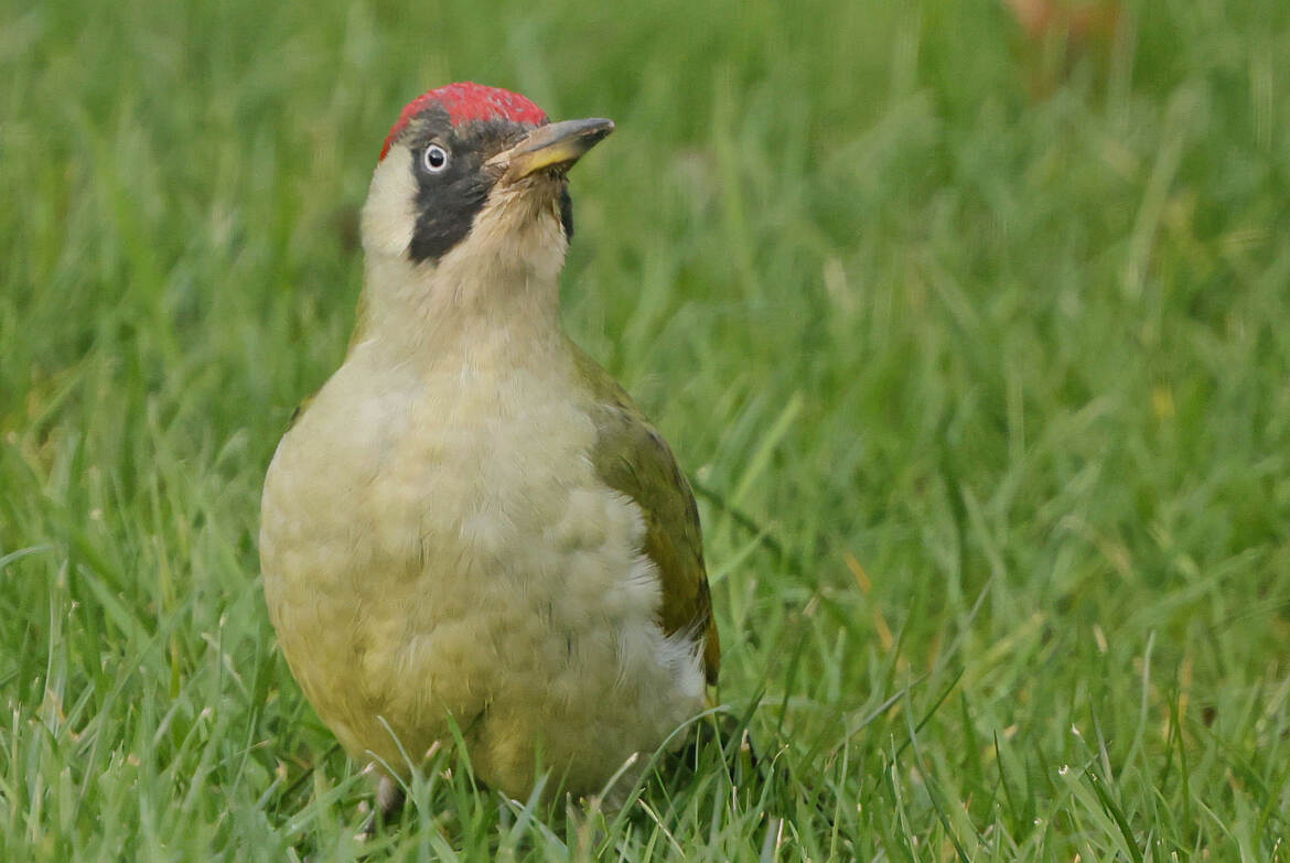 mon meilleur profil ?