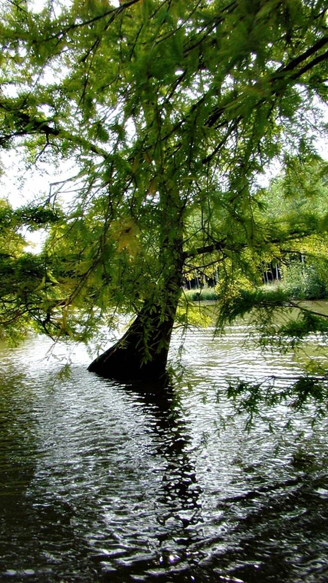 Les pieds dans l'eau