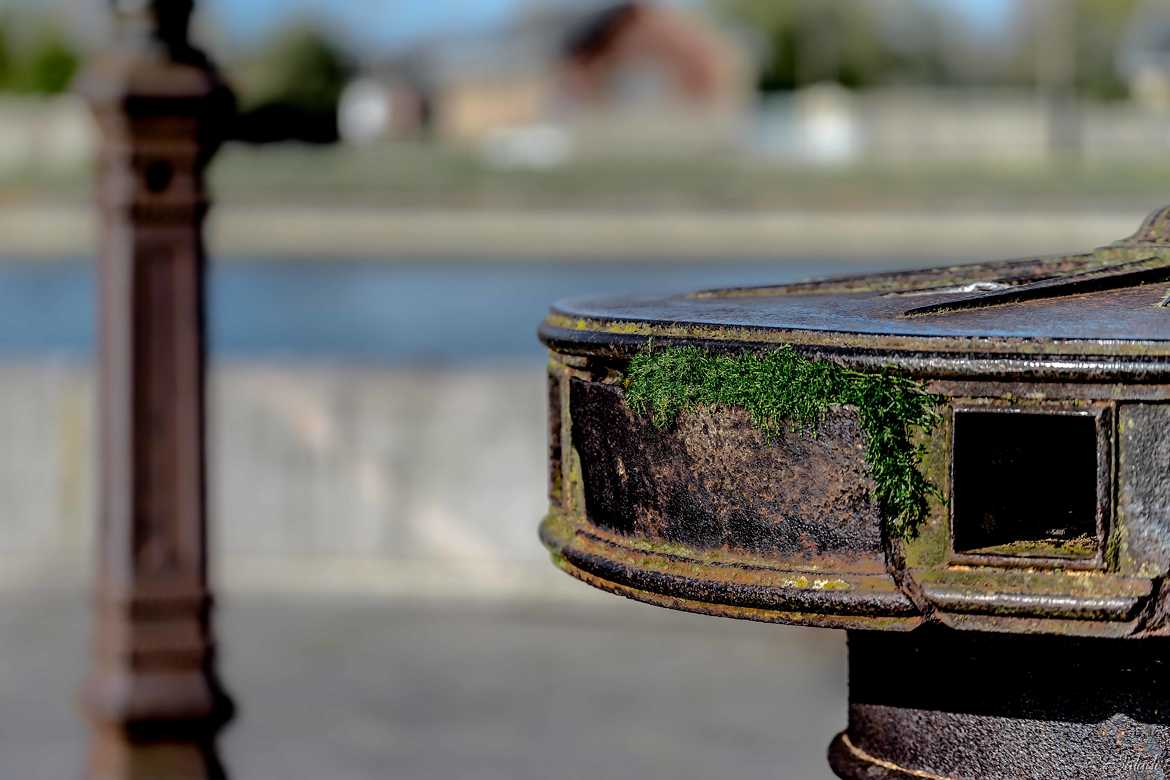 La nature gagne toujours