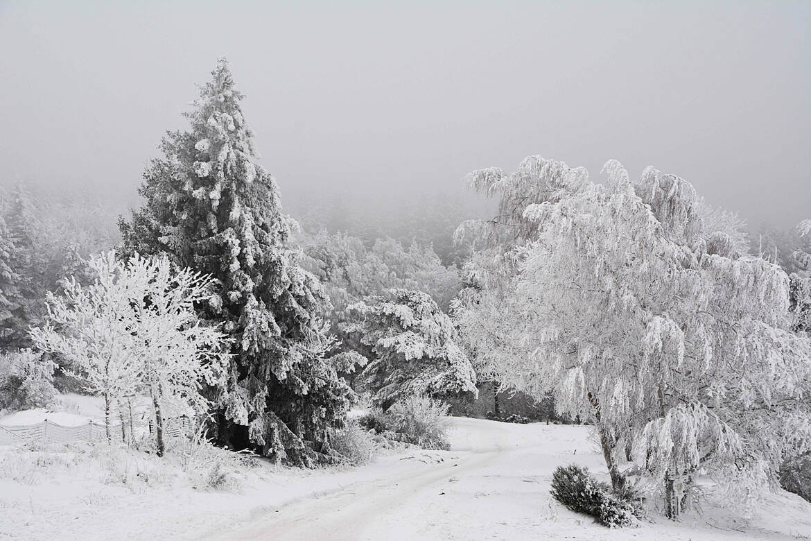 Les environs de Queyrières (1)