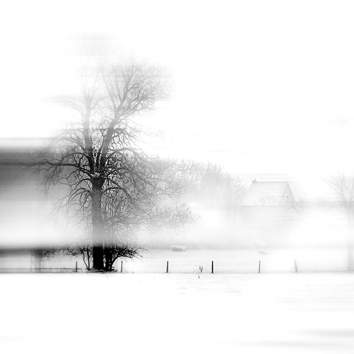 au pied de mon arbre