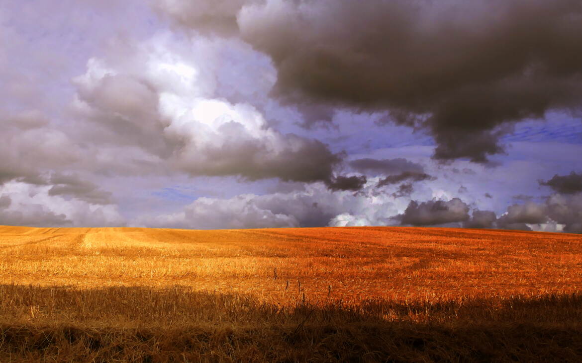 Fait Chaud sur le Coteau