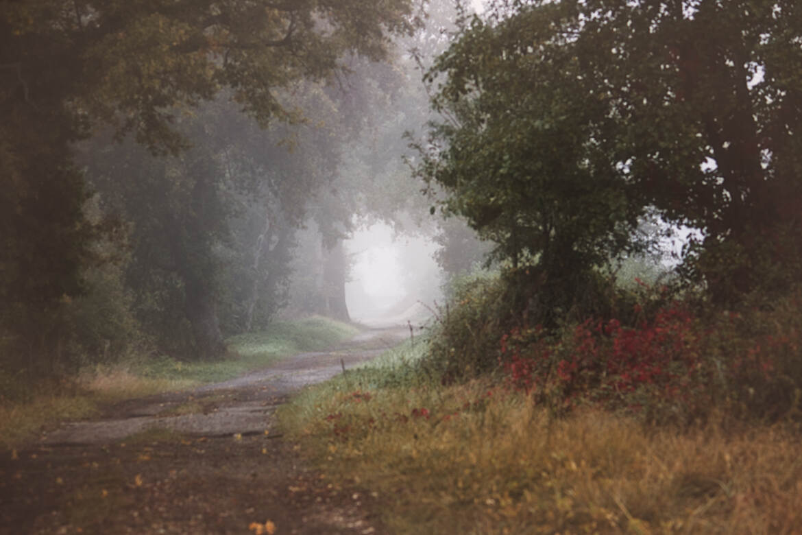 Un chemin qui chemine
