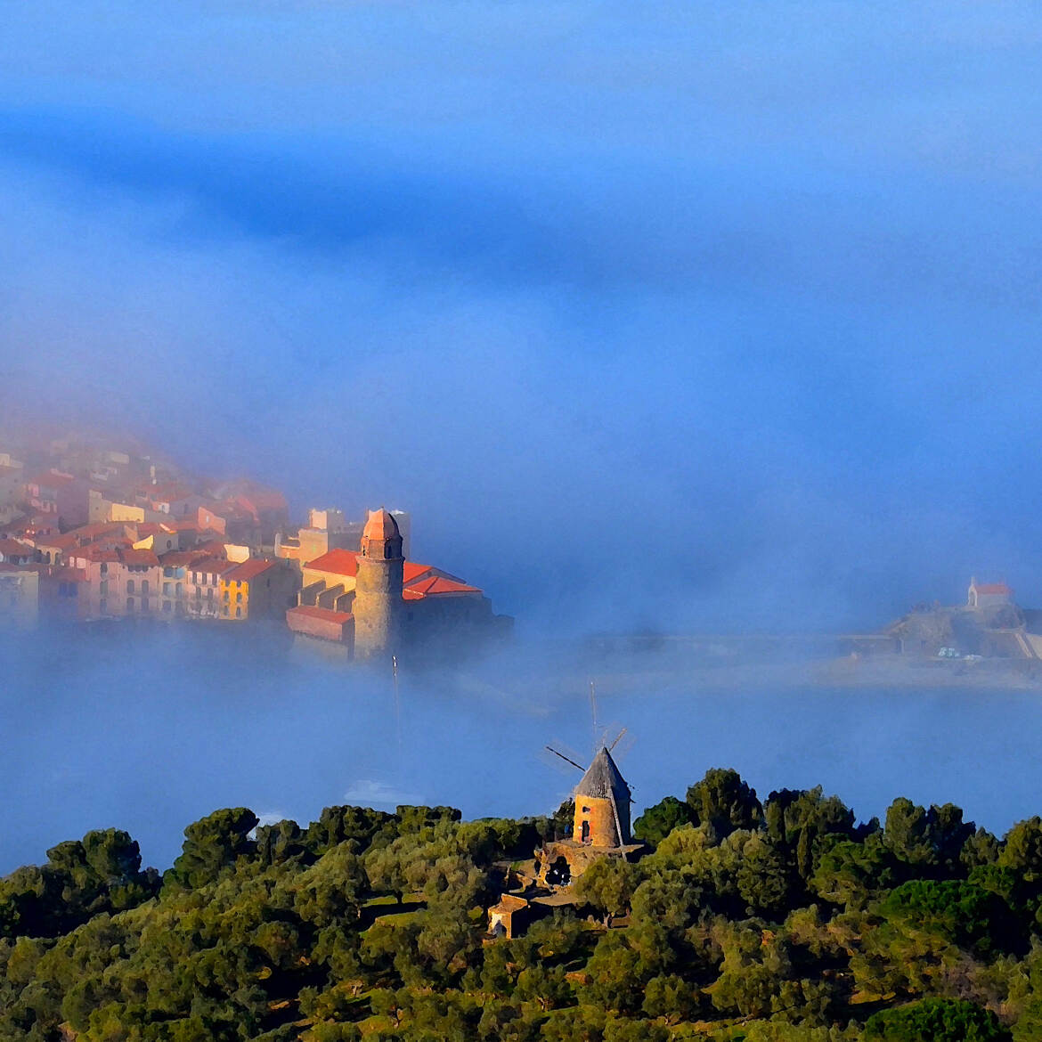 Collioure sous la brume