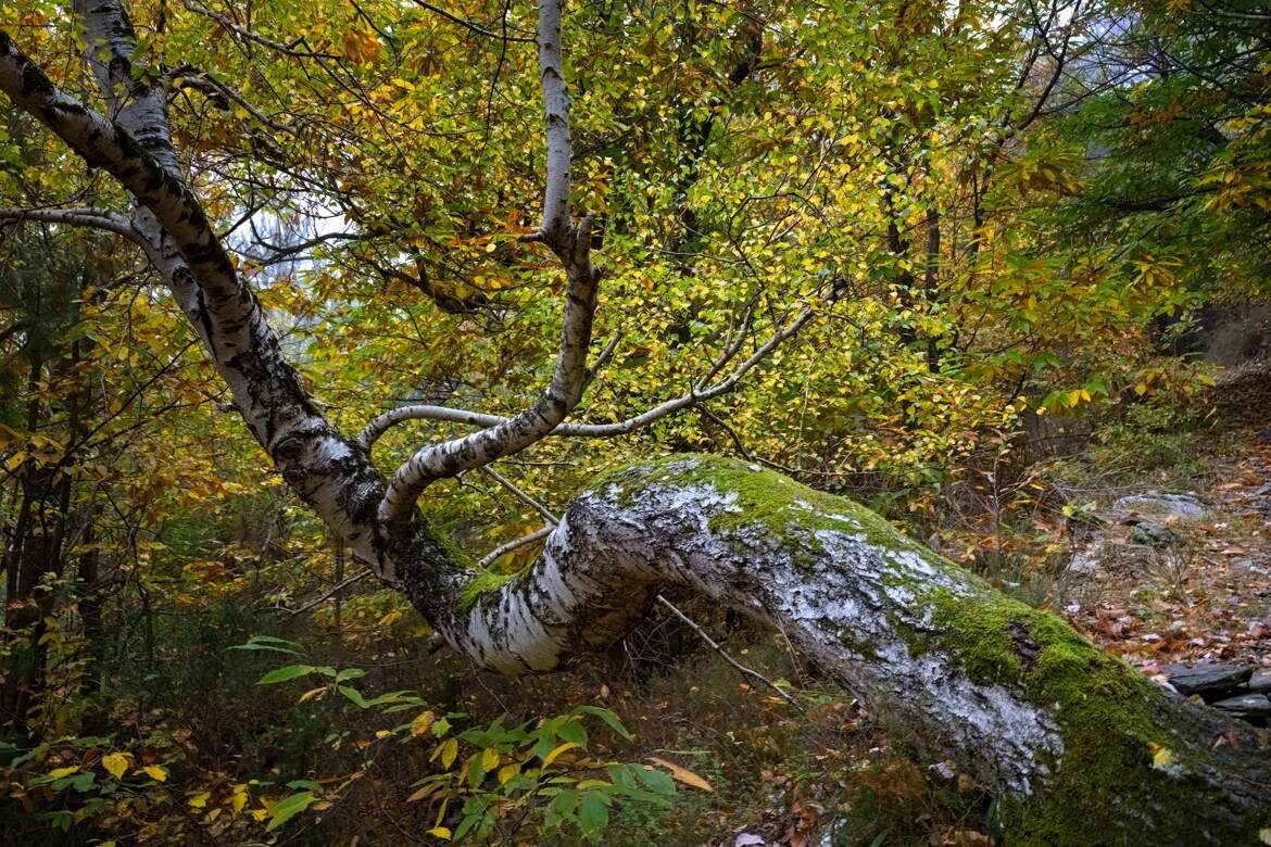 Invitation à la pause
