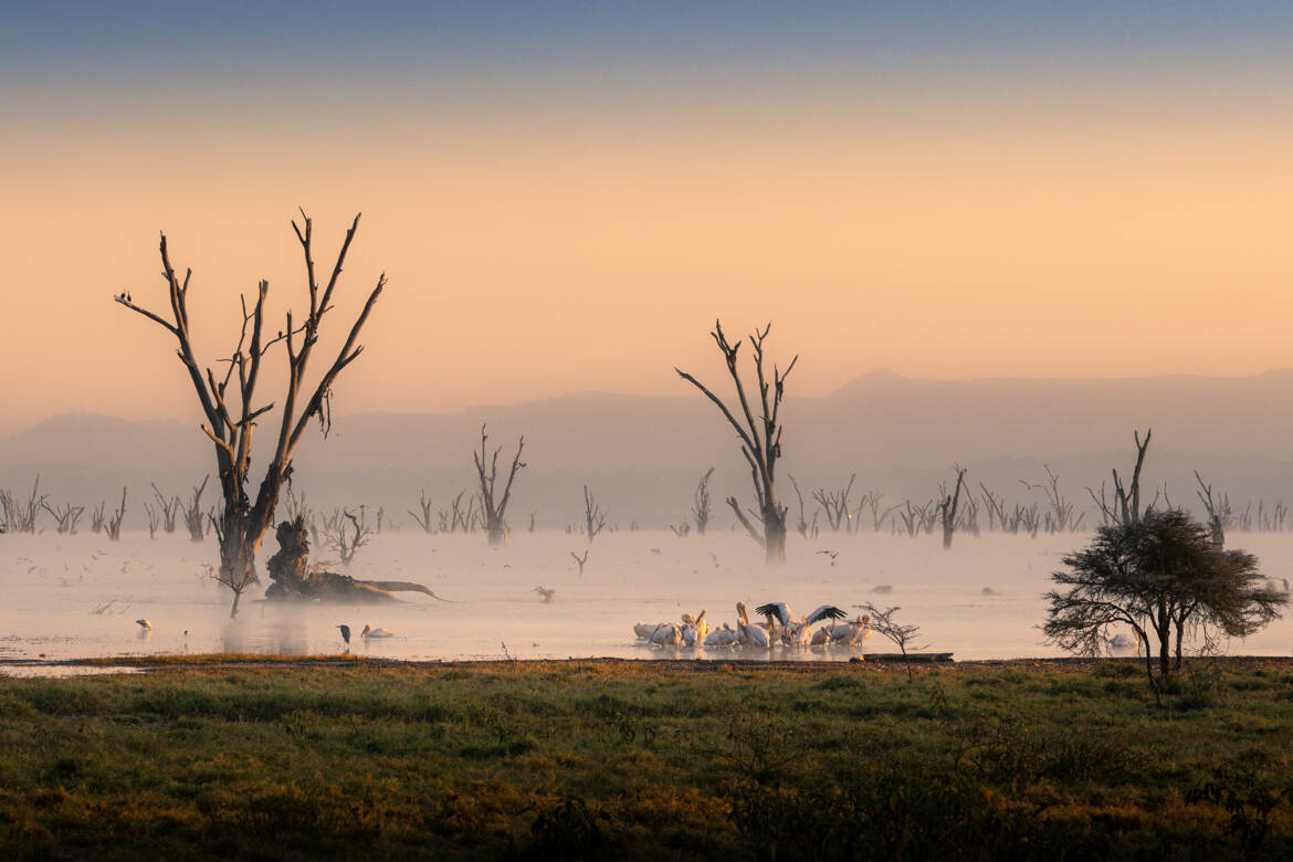 Une nouvelle journéé sur la lac Nakuru