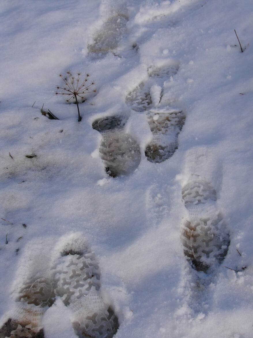 Traces et repère