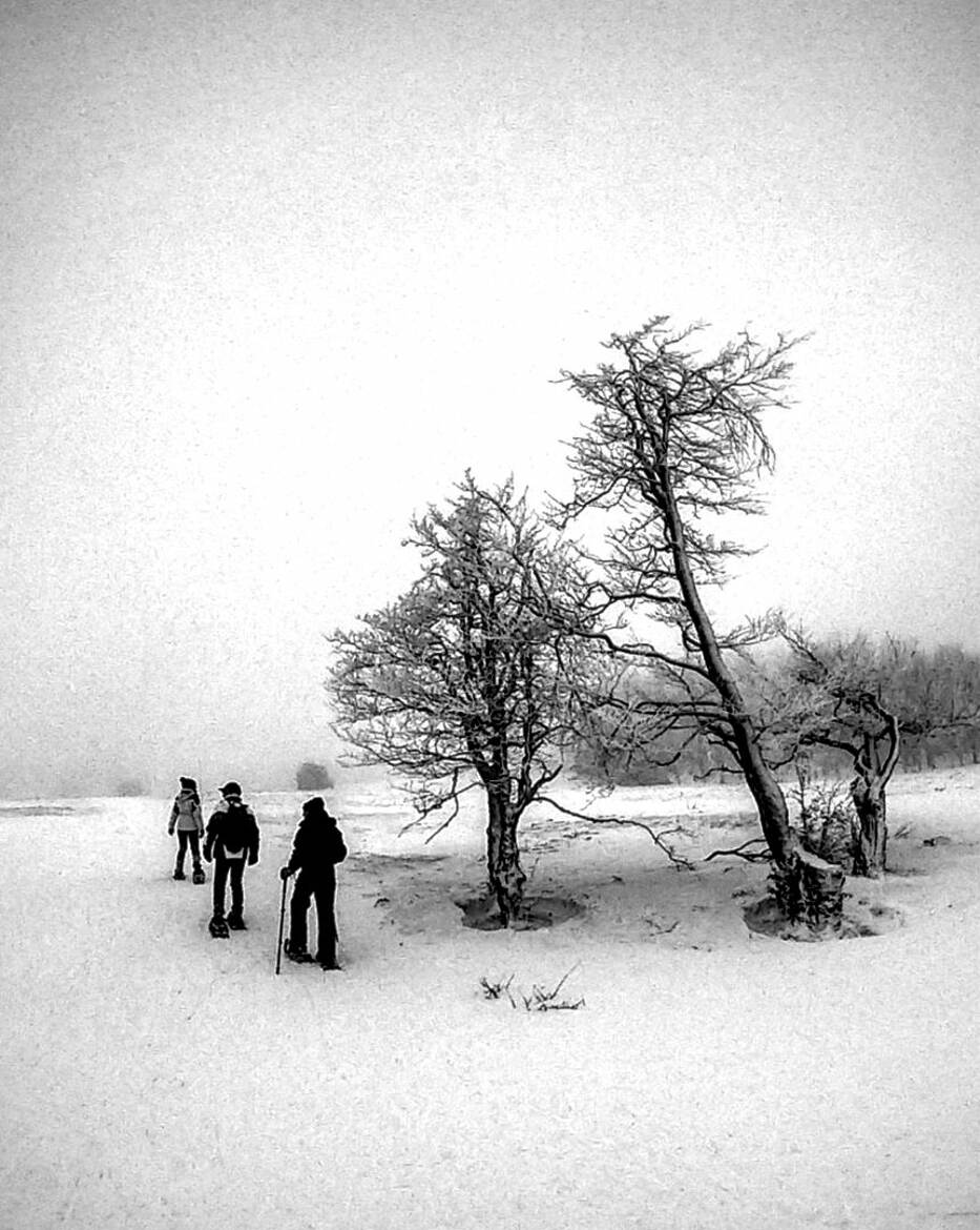 Randonnée en raquettes