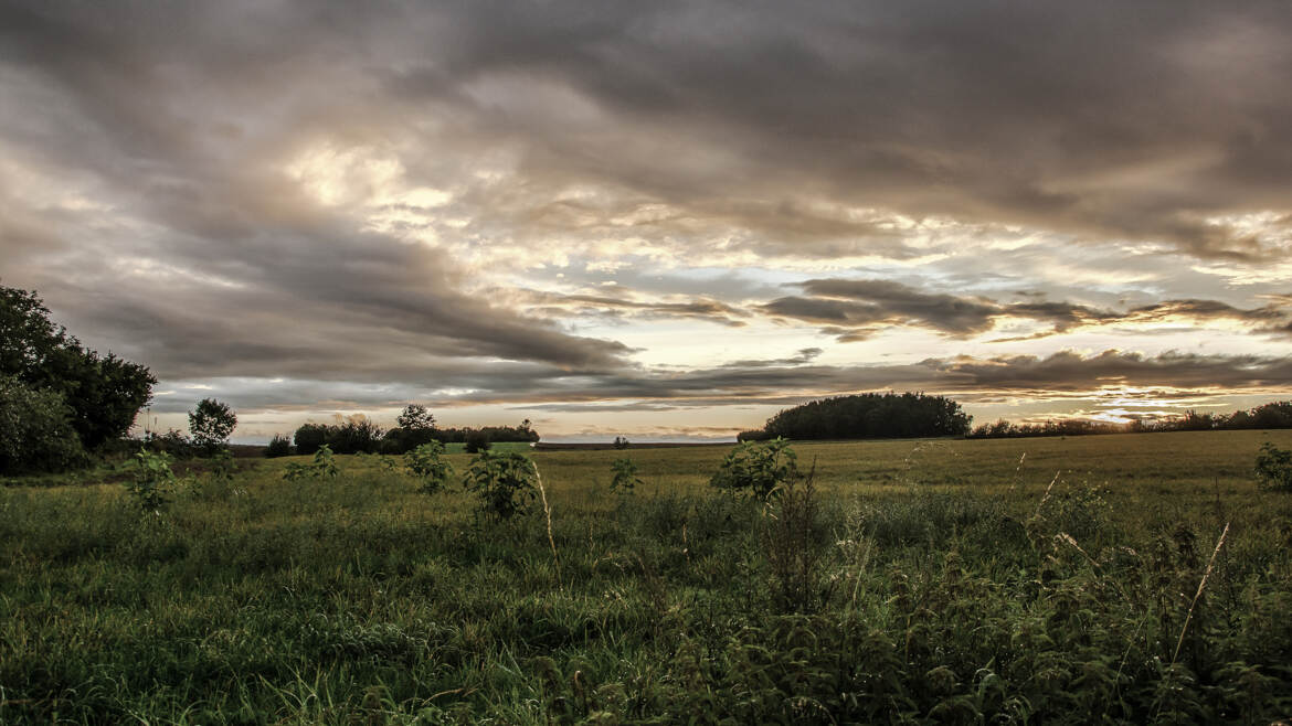 Météo incertaine 2