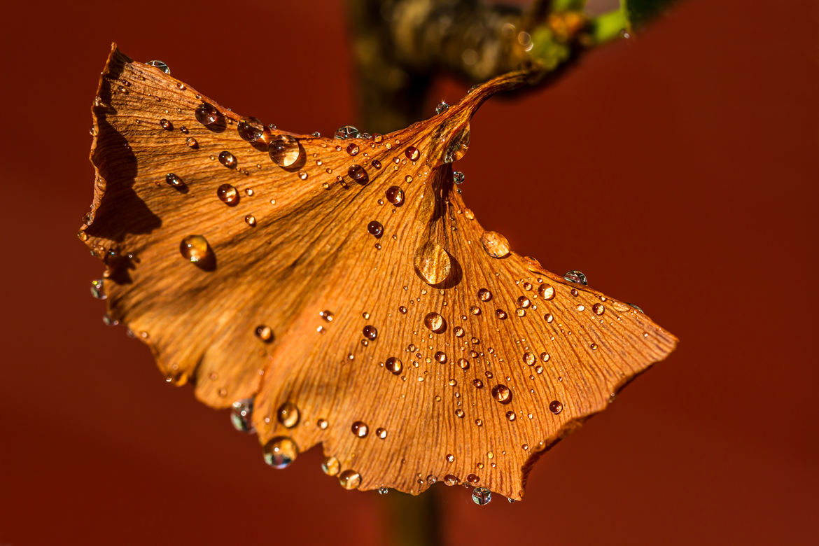 Après la pluie