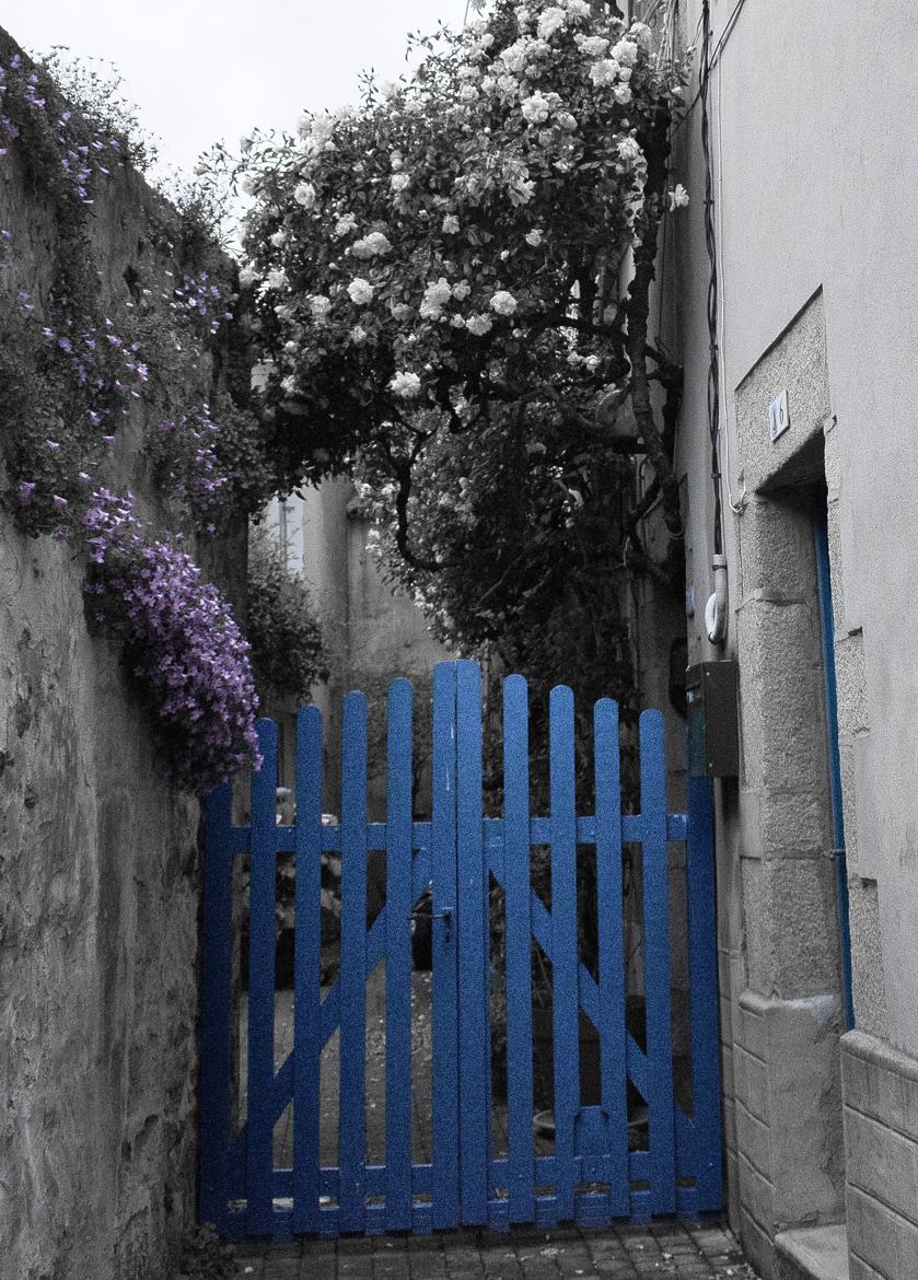 le portail bleu