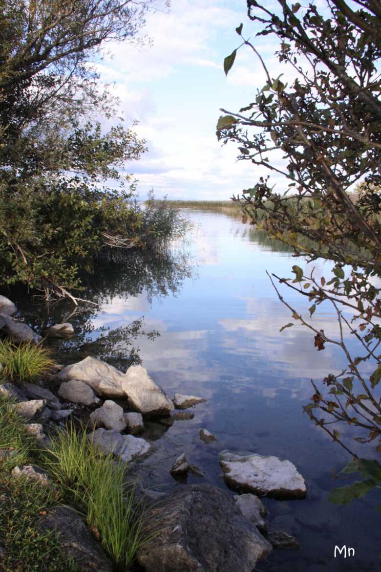 Bord de l'eau