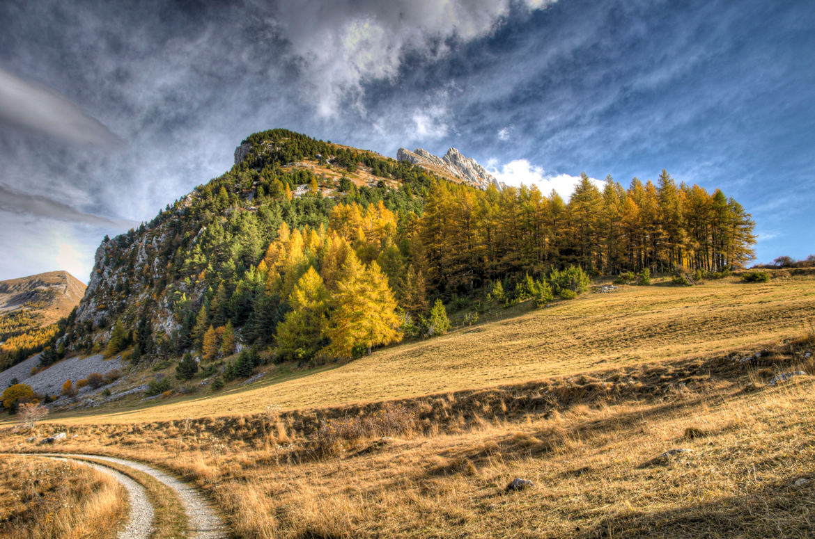 Chemins d'automne