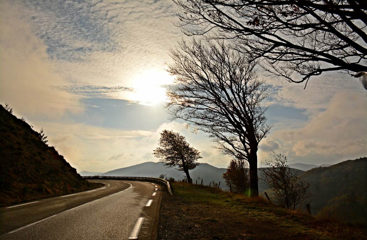 Poussés par le vent