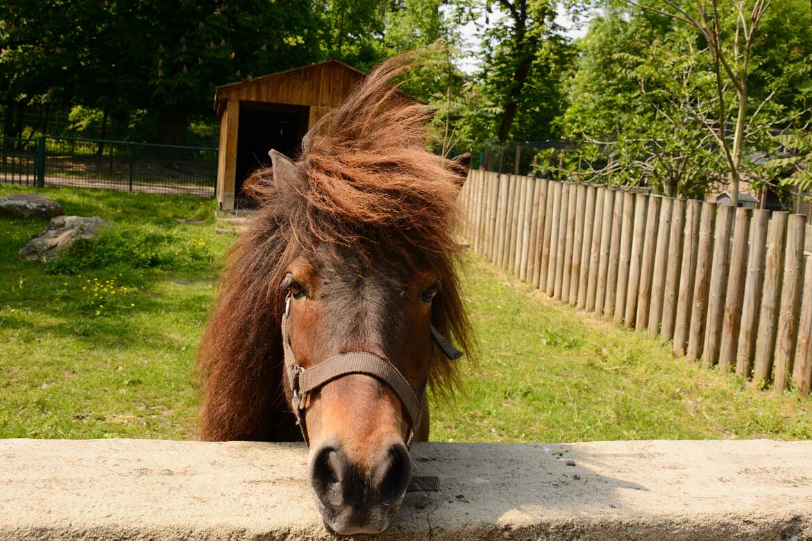 Parce que je le vaut bien!!!!