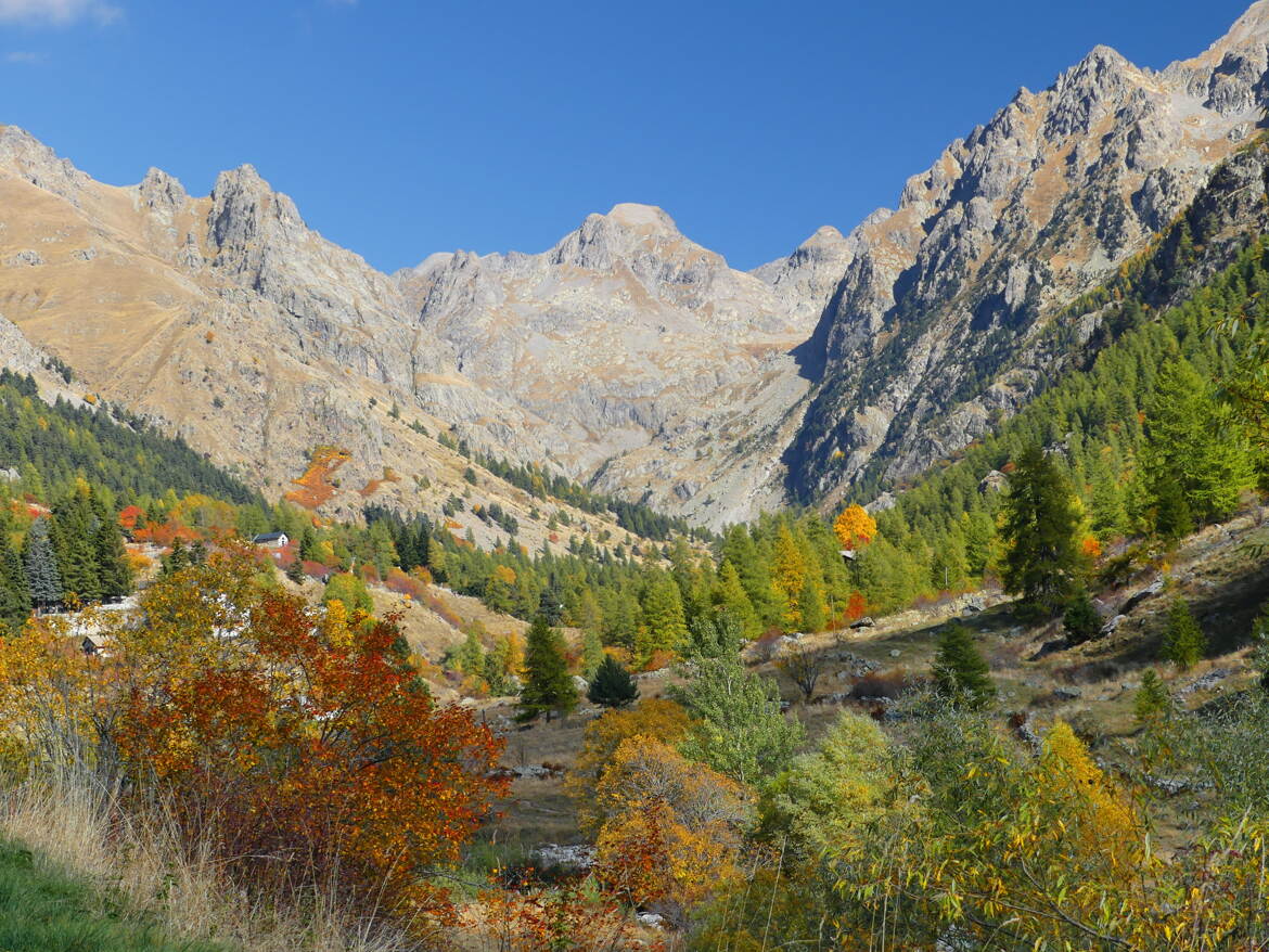 La magie de l'automne