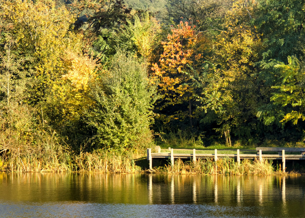 Le petit pont