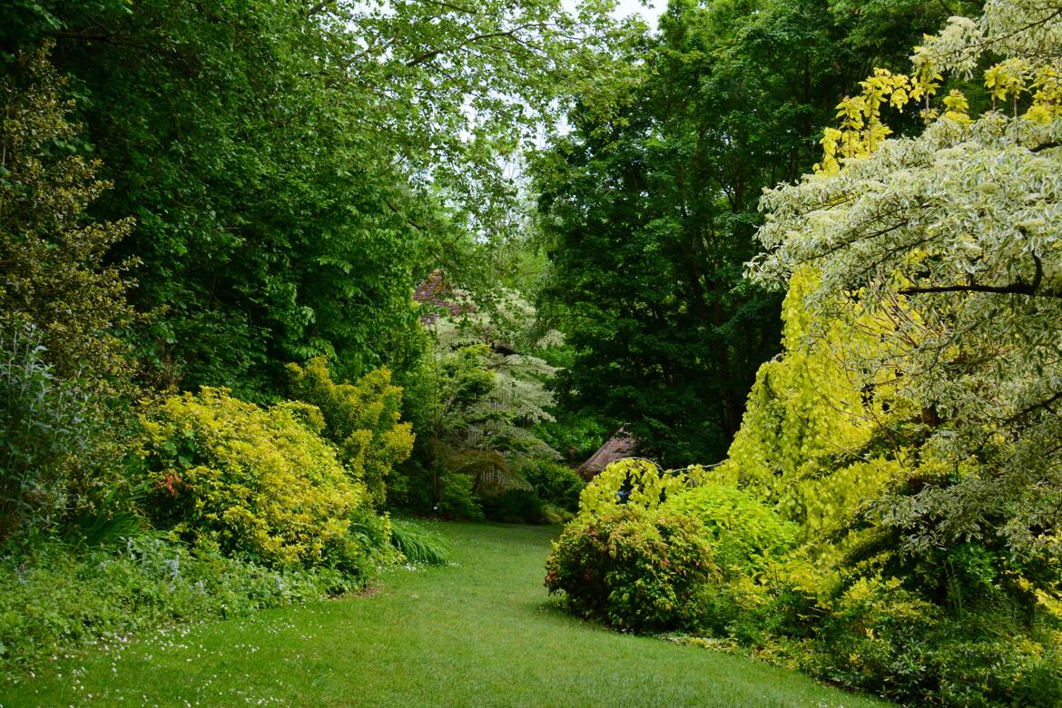 C'est beau le printemps!