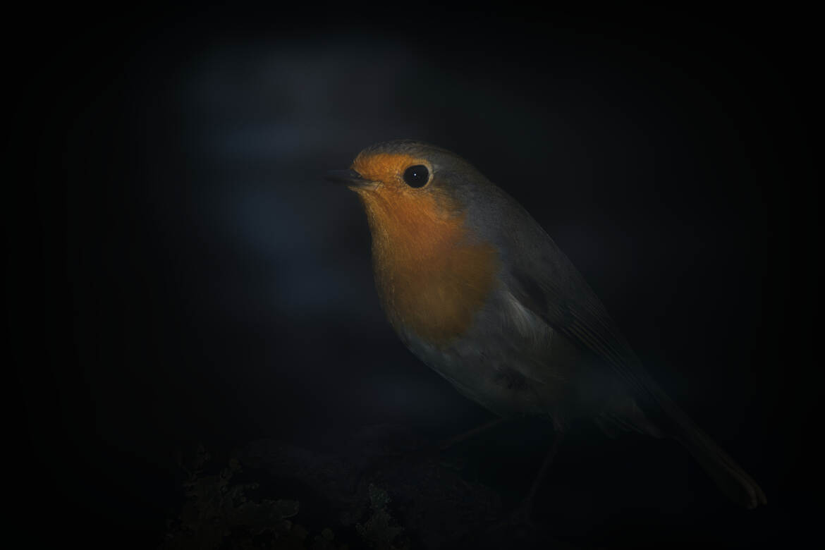 Un éclat de feu perce la nuit