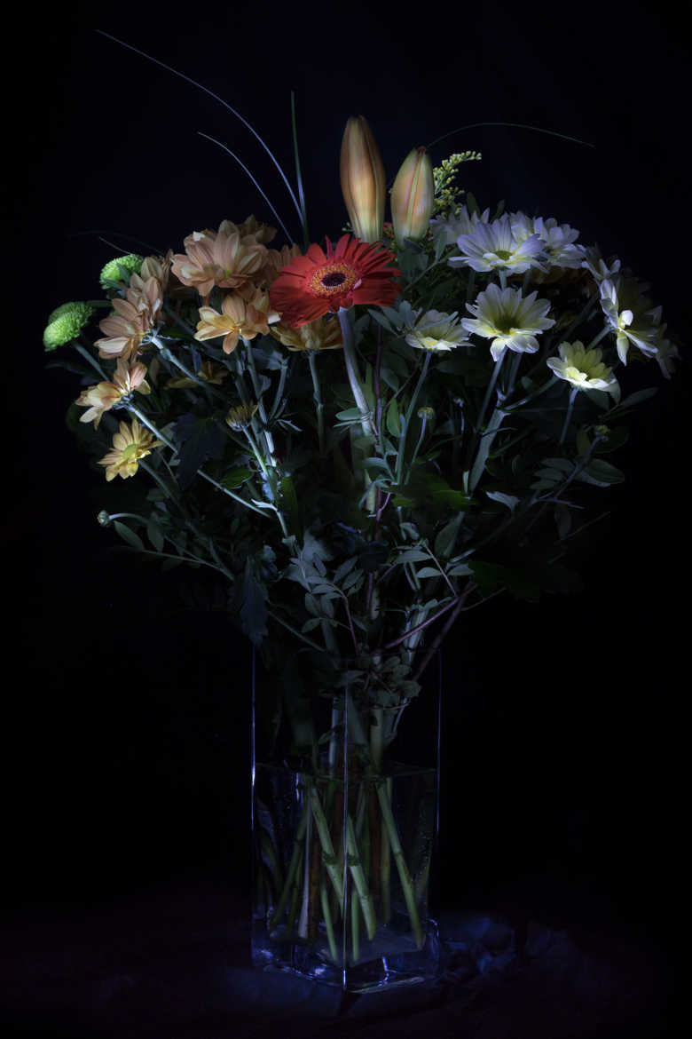 Bouquet en Light Painting