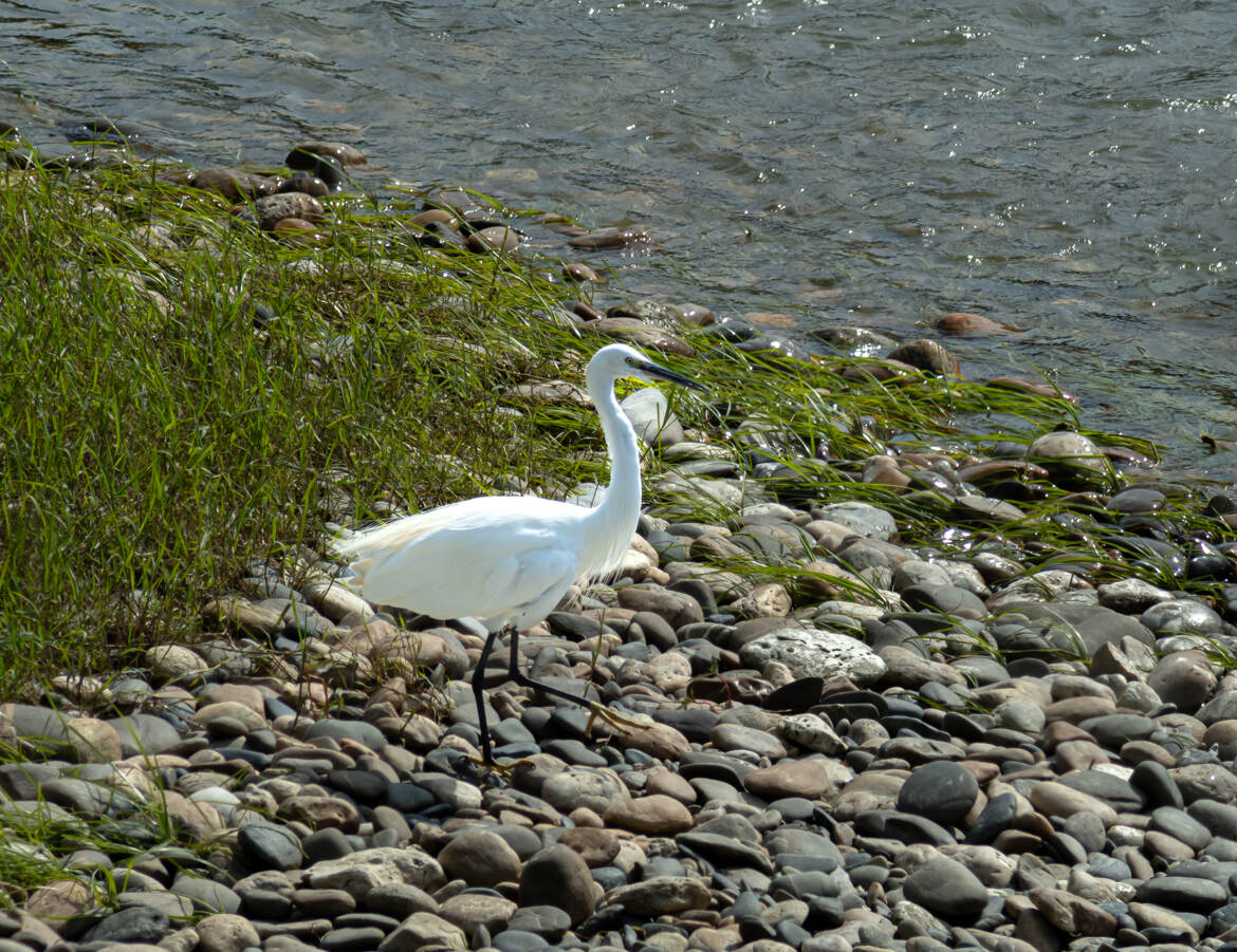 Au bord de la Garonne...