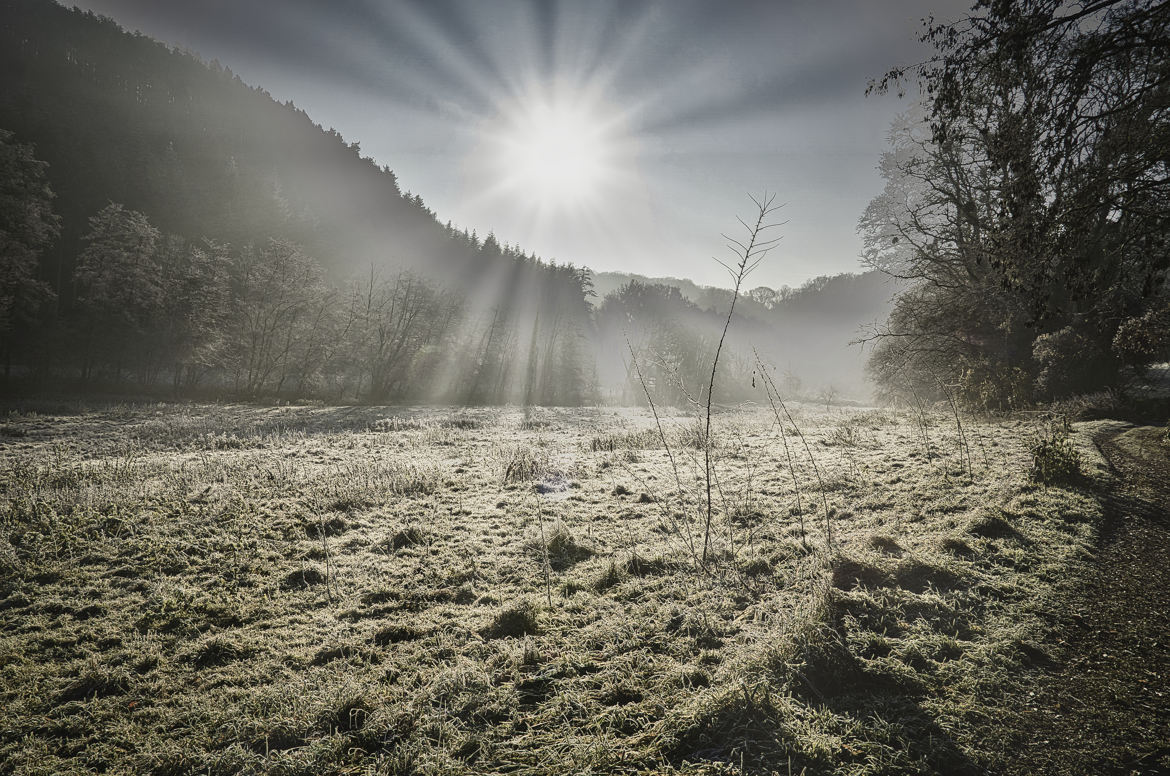 Un matin d'hiver