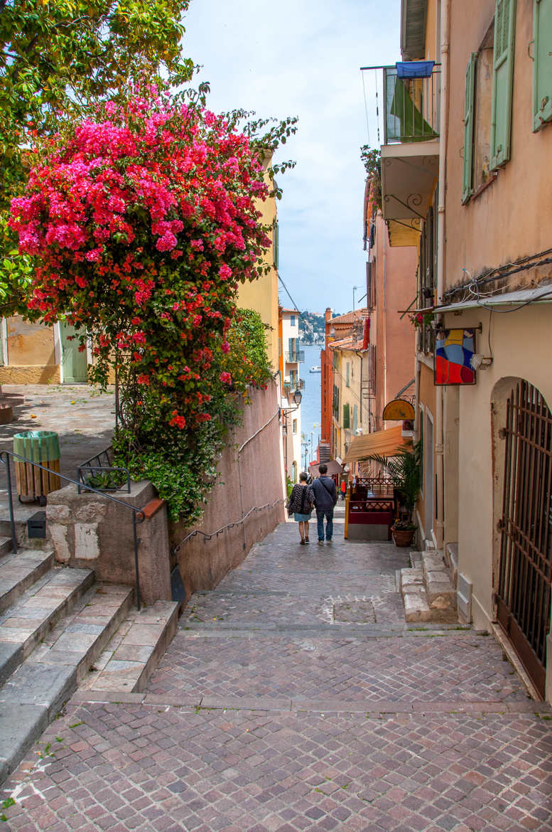 La route en fleurs