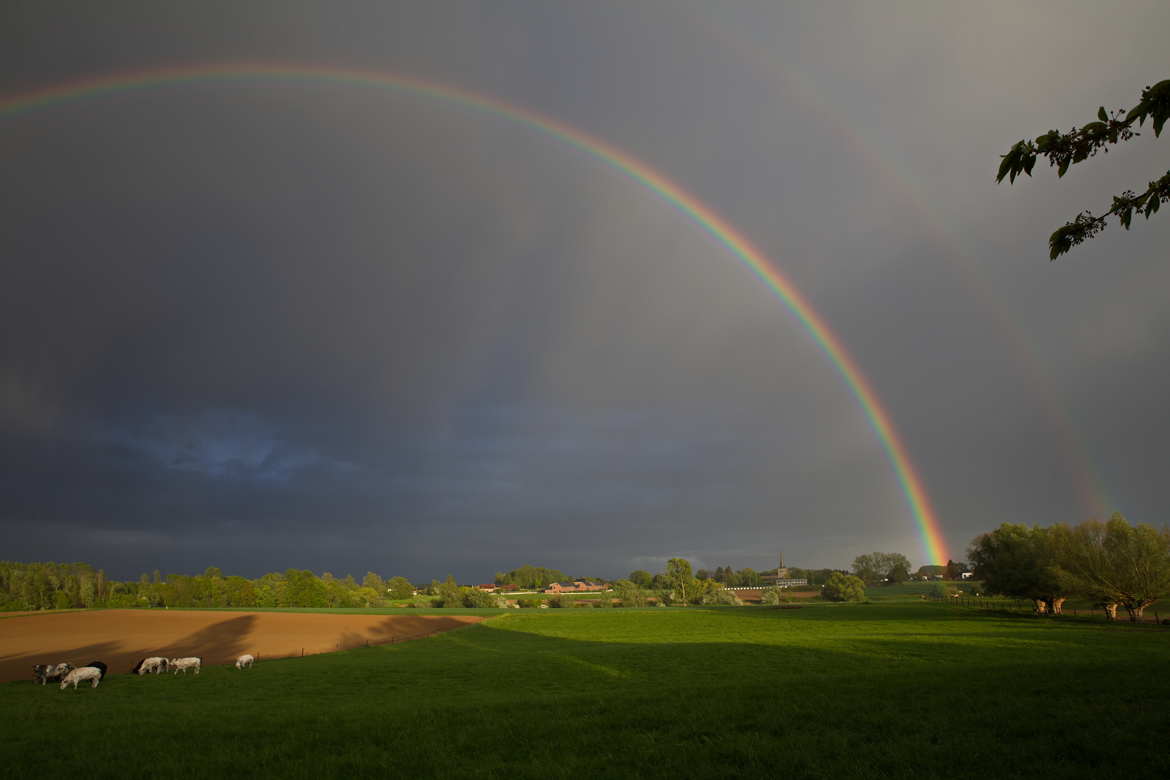 Juste devant ma porte