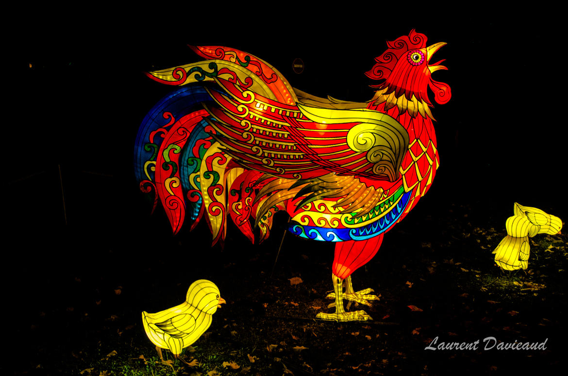 chicken lanterne