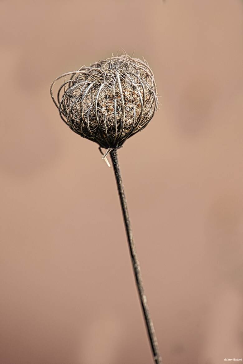 L'hiver est encore là