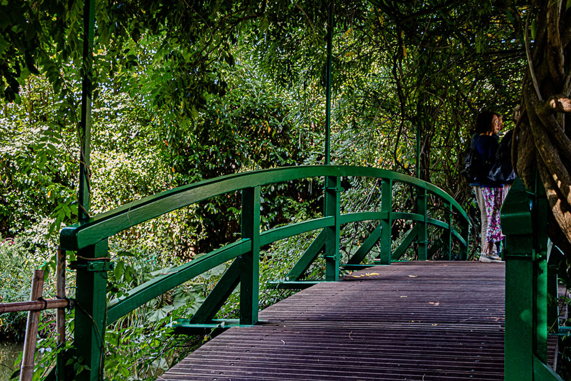 pont japonais Bassin des nymphéass