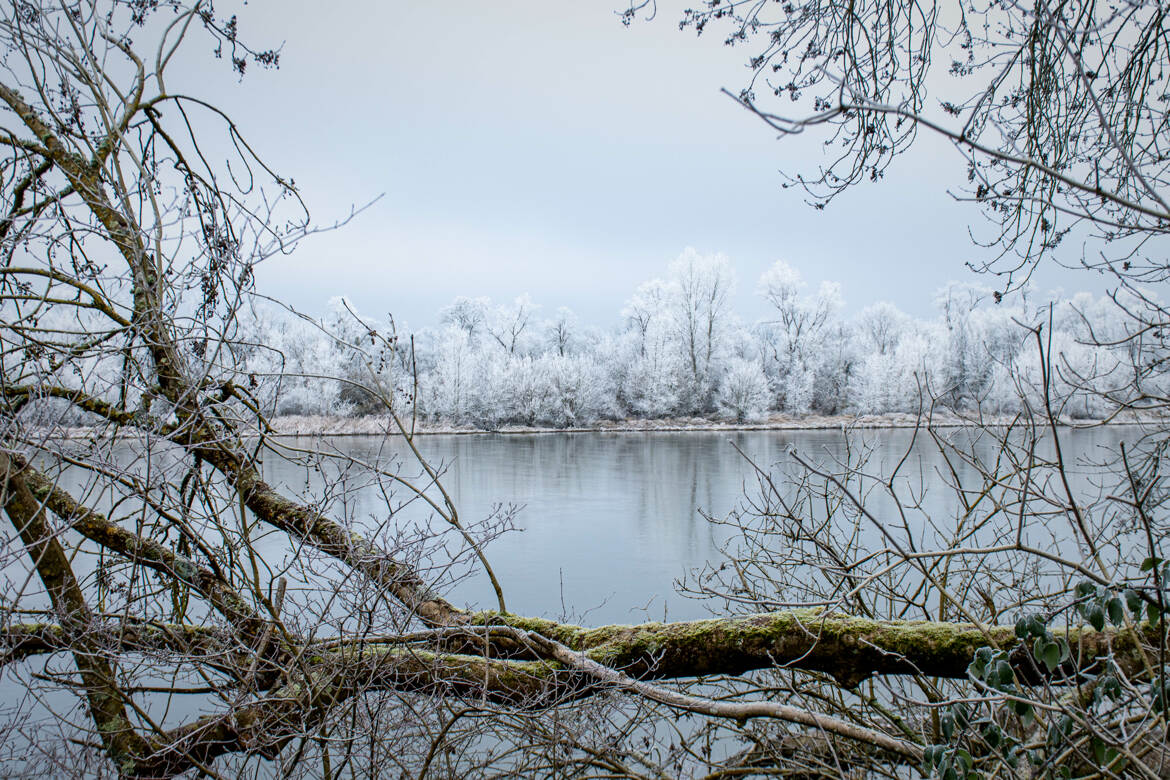 La Loire givrée