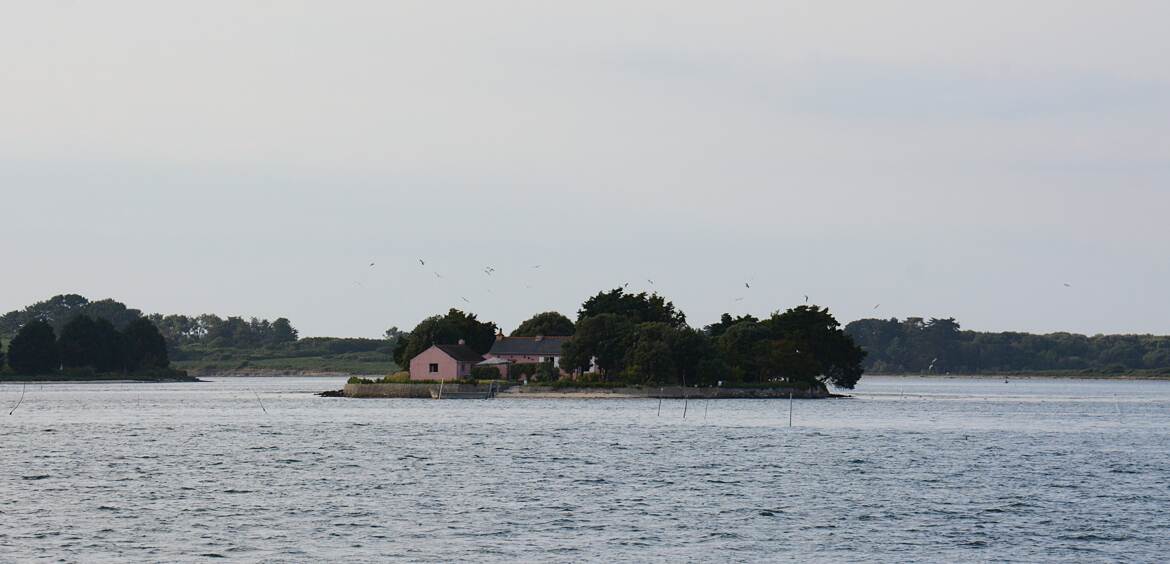 Tranquillité sur son ile