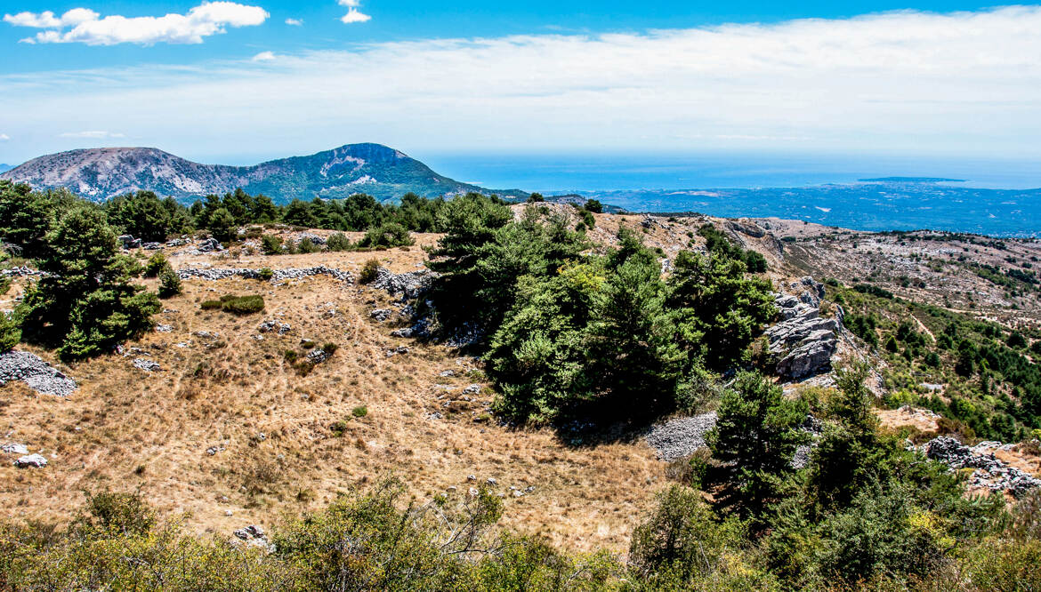 Le Plateau de Caussols